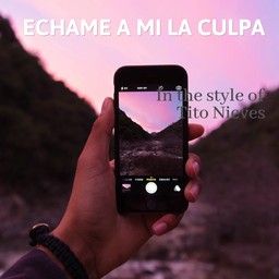 Echame A Mi La Culpa