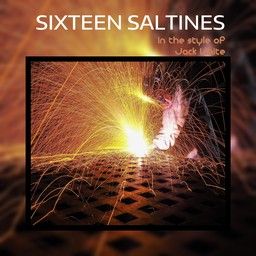 Sixteen Saltines