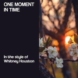 One Moment in Time