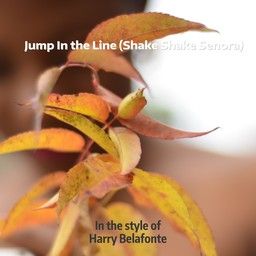 Jump In the Line (Shake Shake Senora)