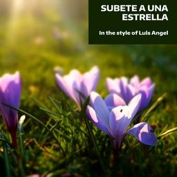 Subete A Una Estrella