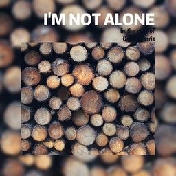 I'm Not Alone