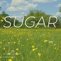 Sugar