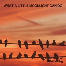 What A Little Moonlight Can Do