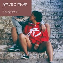 Gavilan O Paloma
