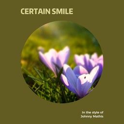 Certain Smile