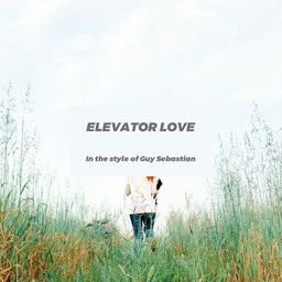 Elevator Love