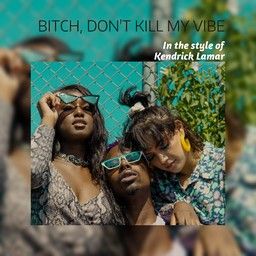 Bitch, Don't Kill My Vibe