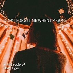 Don't Forget Me When I'm Gone