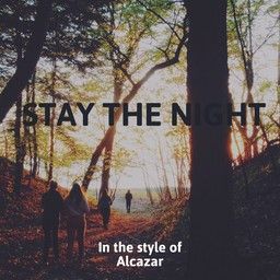 Stay The Night