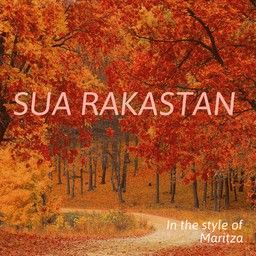 Sua rakastan