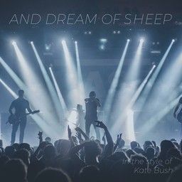 And Dream Of Sheep
