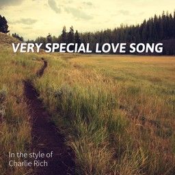 Very Special Love Song