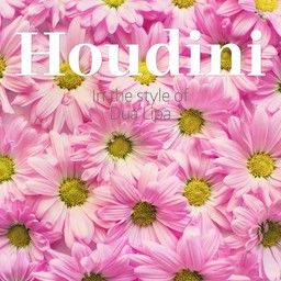 Houdini