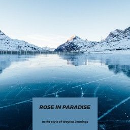 Rose In Paradise