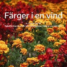 Färger i en vind