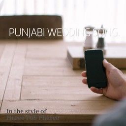 Punjabi Wedding Song.