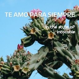 Te Amo Para Siempre