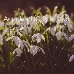 Aurinkoni (O Sole Mio)