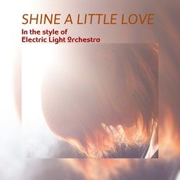 Shine A Little Love