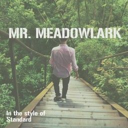 Mr. Meadowlark