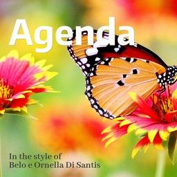 Agenda