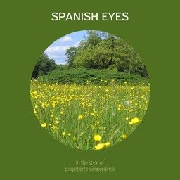 Spanish Eyes