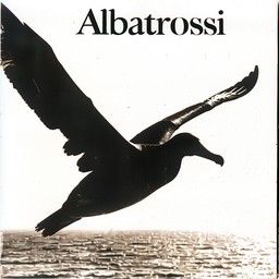 Albatrossi