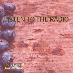 Listen To The Radio