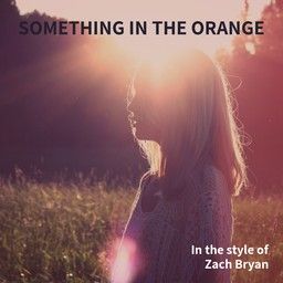 Something In The Orange