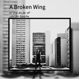 A Broken Wing
