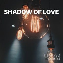 Shadow Of Love