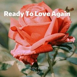 Ready To Love Again