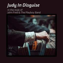 Judy In Disguise