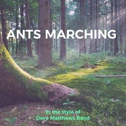 Ants Marching