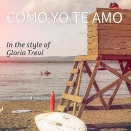 Como Yo Te Amo