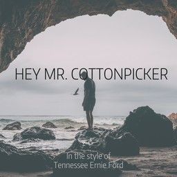 Hey Mr. Cottonpicker
