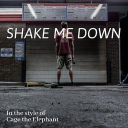 Shake Me Down