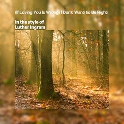 (If Loving You Is Wrong) I Don't Want to Be Right