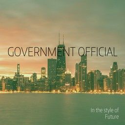 Government Official