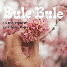 Bule Bule