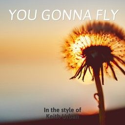 You Gonna Fly