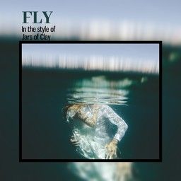 Fly