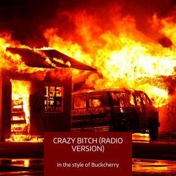 Crazy Bitch (Radio Version)