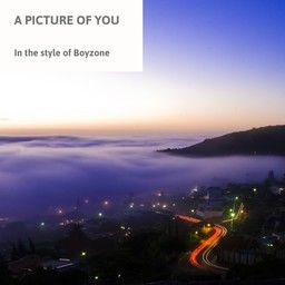 A Picture Of You