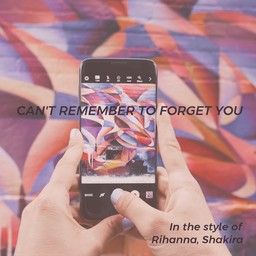 Can't Remember To Forget You