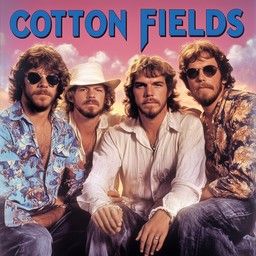 Cotton Fields