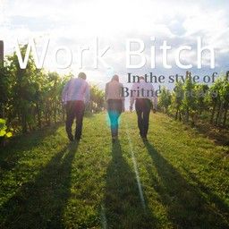 Work Bitch