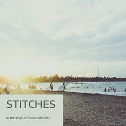 Stitches