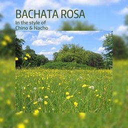 Bachata Rosa